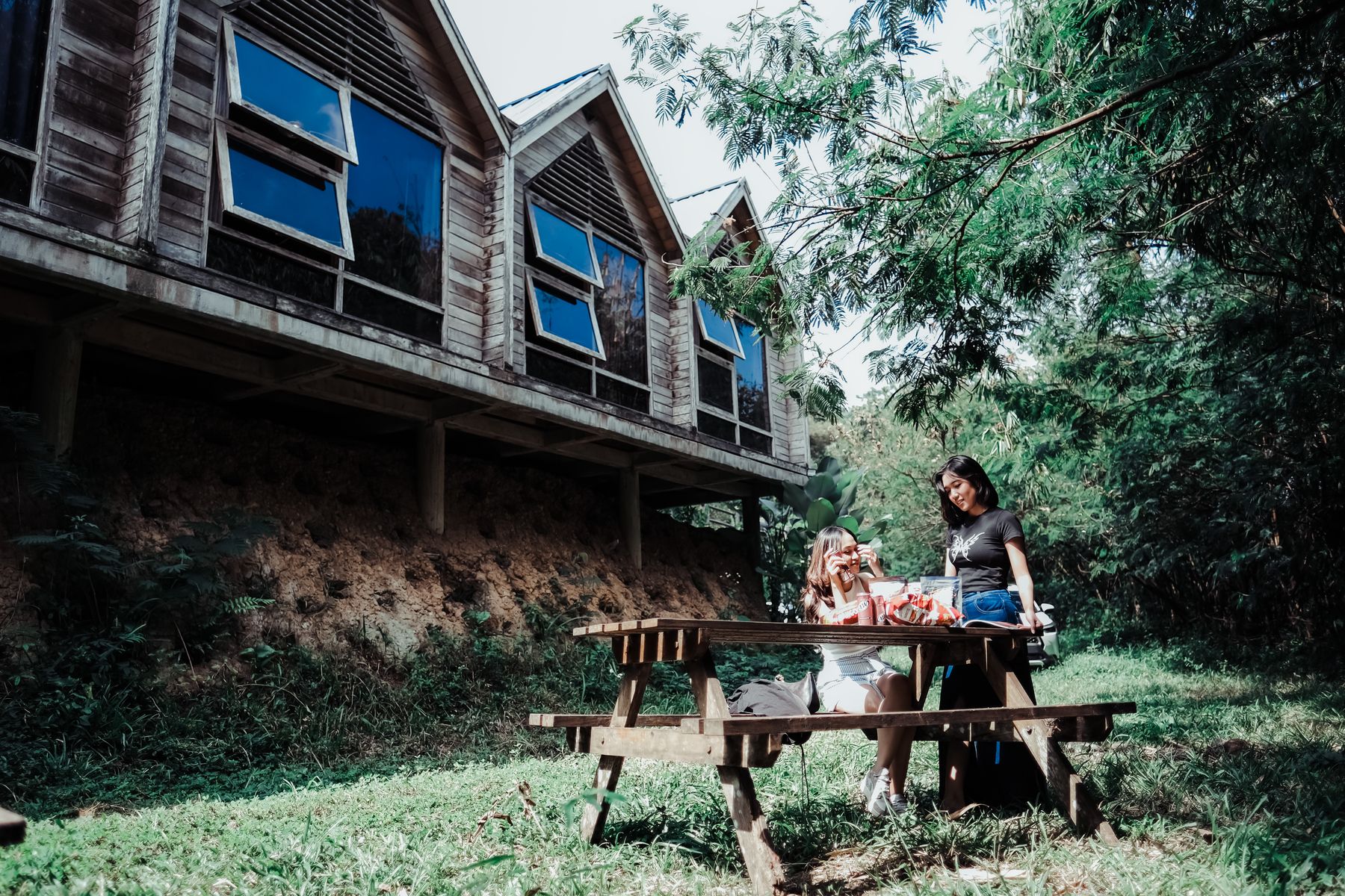 Casa in legno immersa nel verde del parco